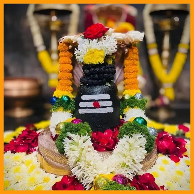 Vedic Rituals and Astrology Portfolio